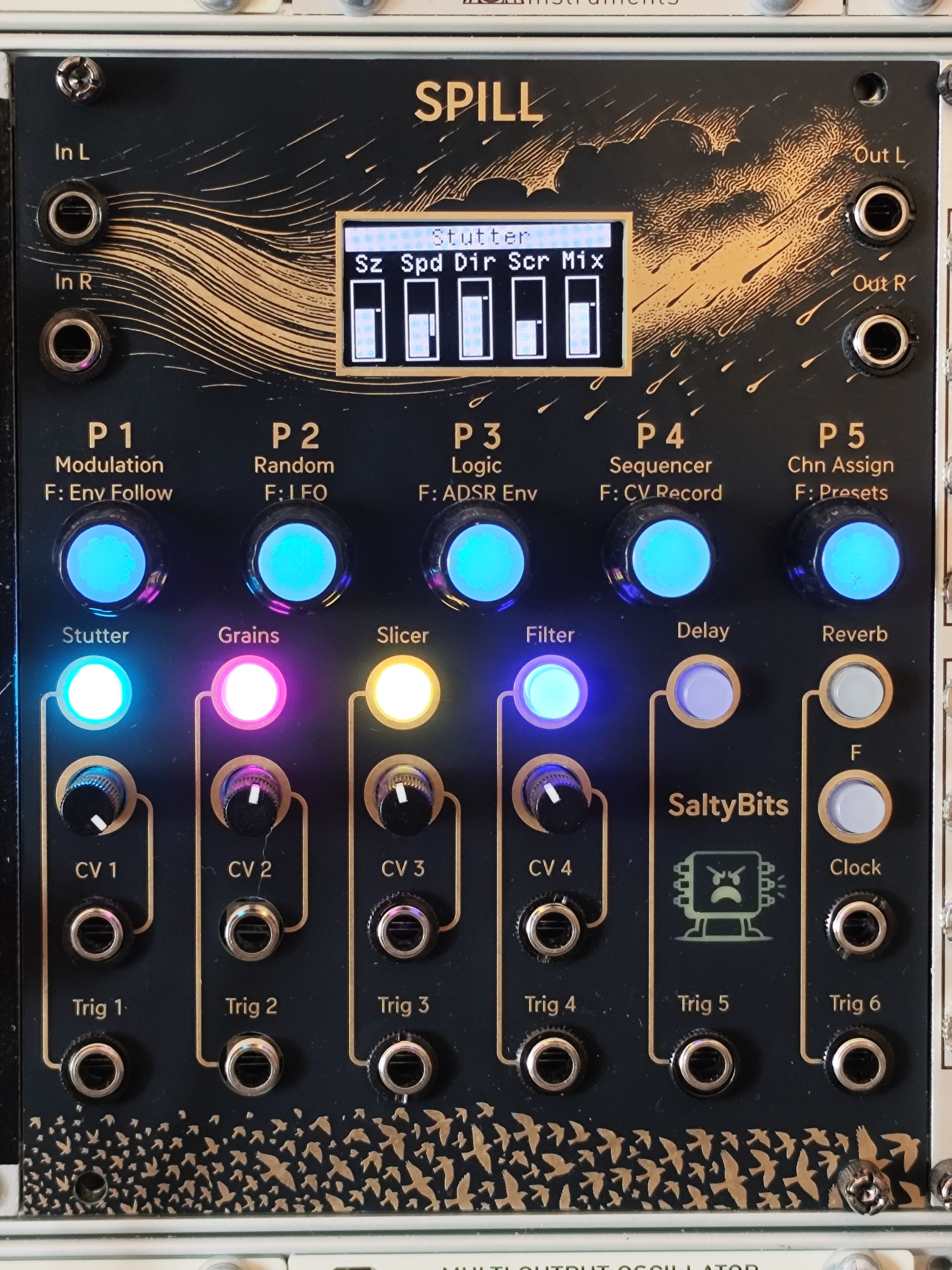 SPILL — DIY Daisy Seed Instrument Kit